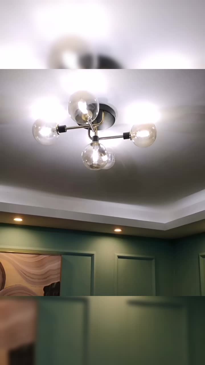 Black gold metal modern ceiling lamp