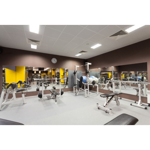 Ganas wholesale gym equipment