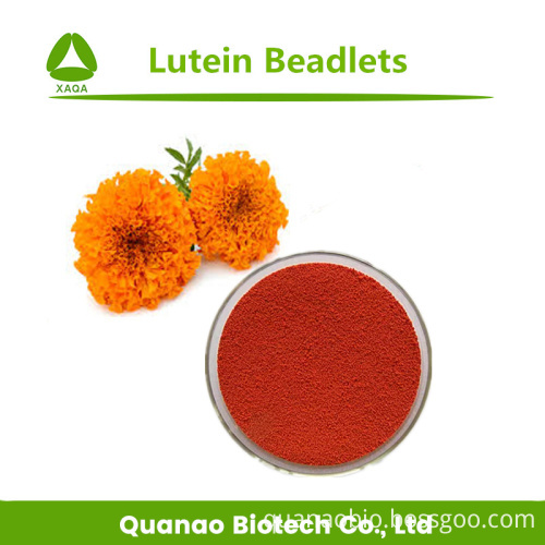 Natural eye protection ingredient Lutein Marigold Flower Extract 