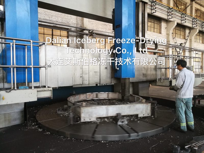 Dalian Iceberg Freeze-dry Technology Co.,Ltd