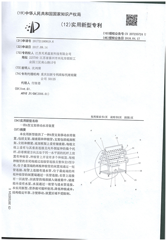 Utility model patents