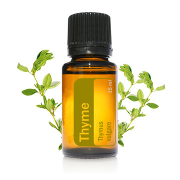 Supply Best Price Thyme Leaf Extract