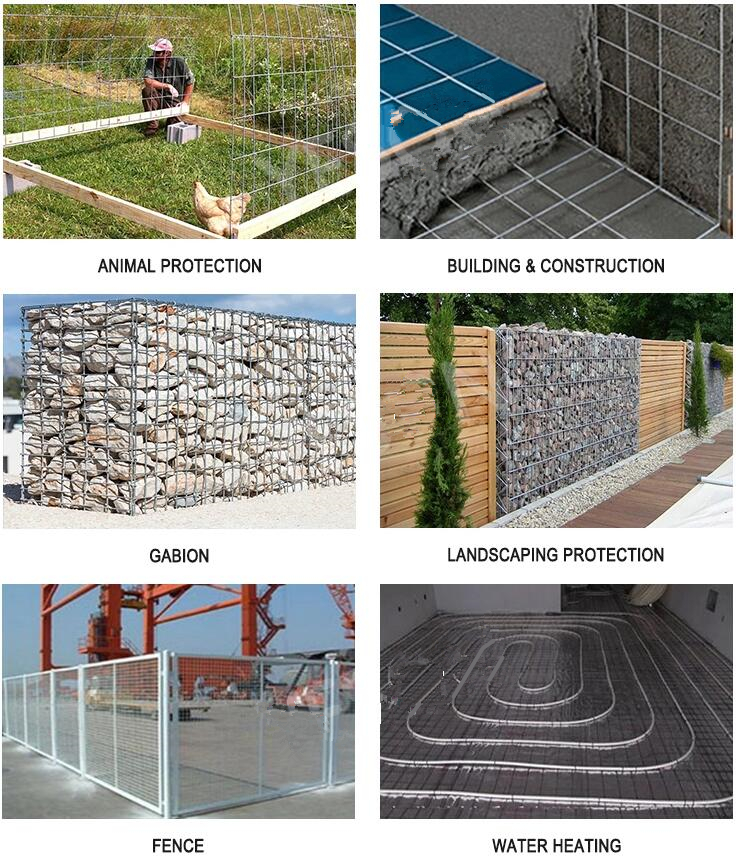 2x2 2x4 Galvanis Welded Wire Mesh Untuk Panel Panel Harga Rendah