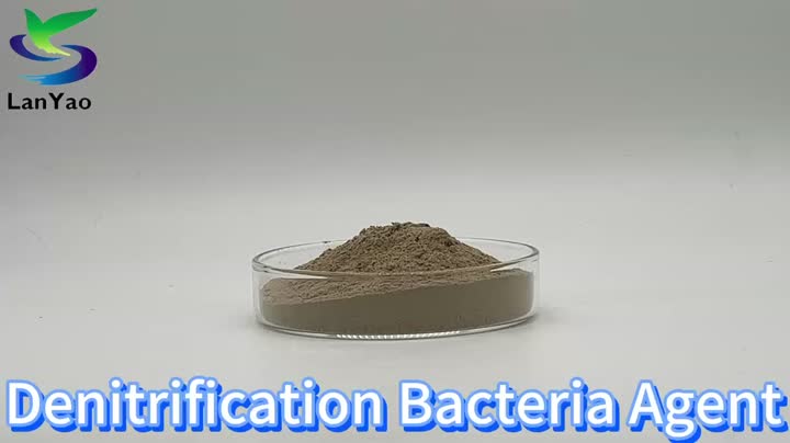 Denitrification Bacteria Agent