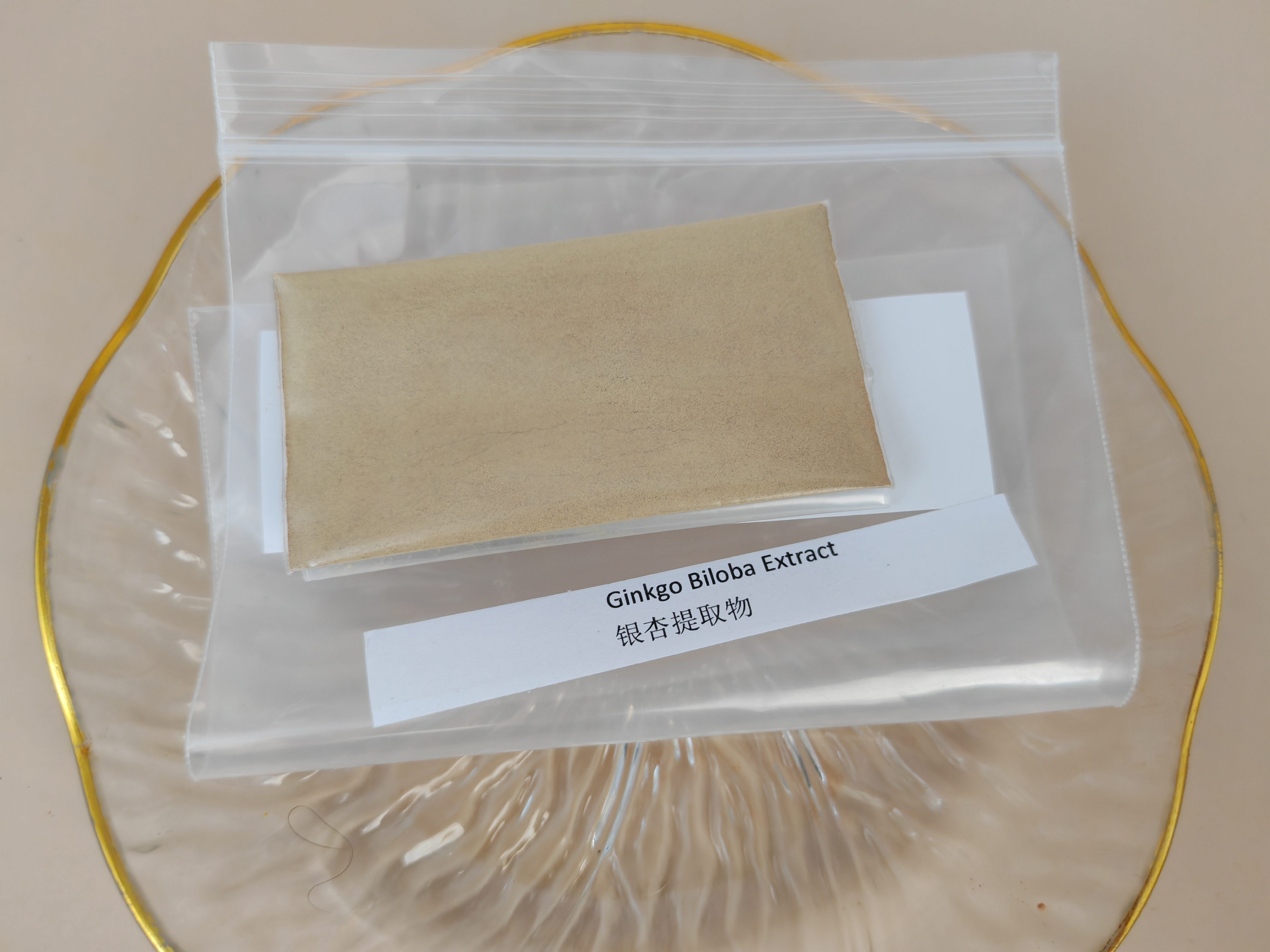 Extrakt z Ginkgo Biloba
