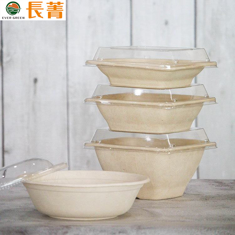 Bagasse Food Plate