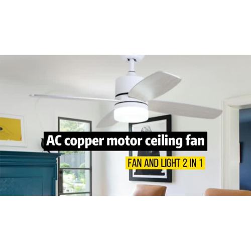 Small ceiling fan with light