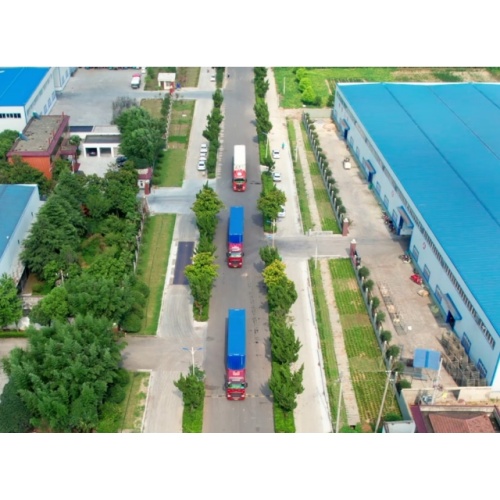 Introduction of Henan Sunny Foodstuff Co.,Ltd.