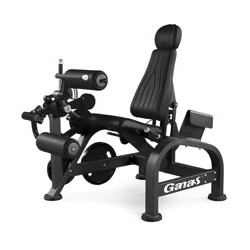 Seated Leg Curl 4 Png