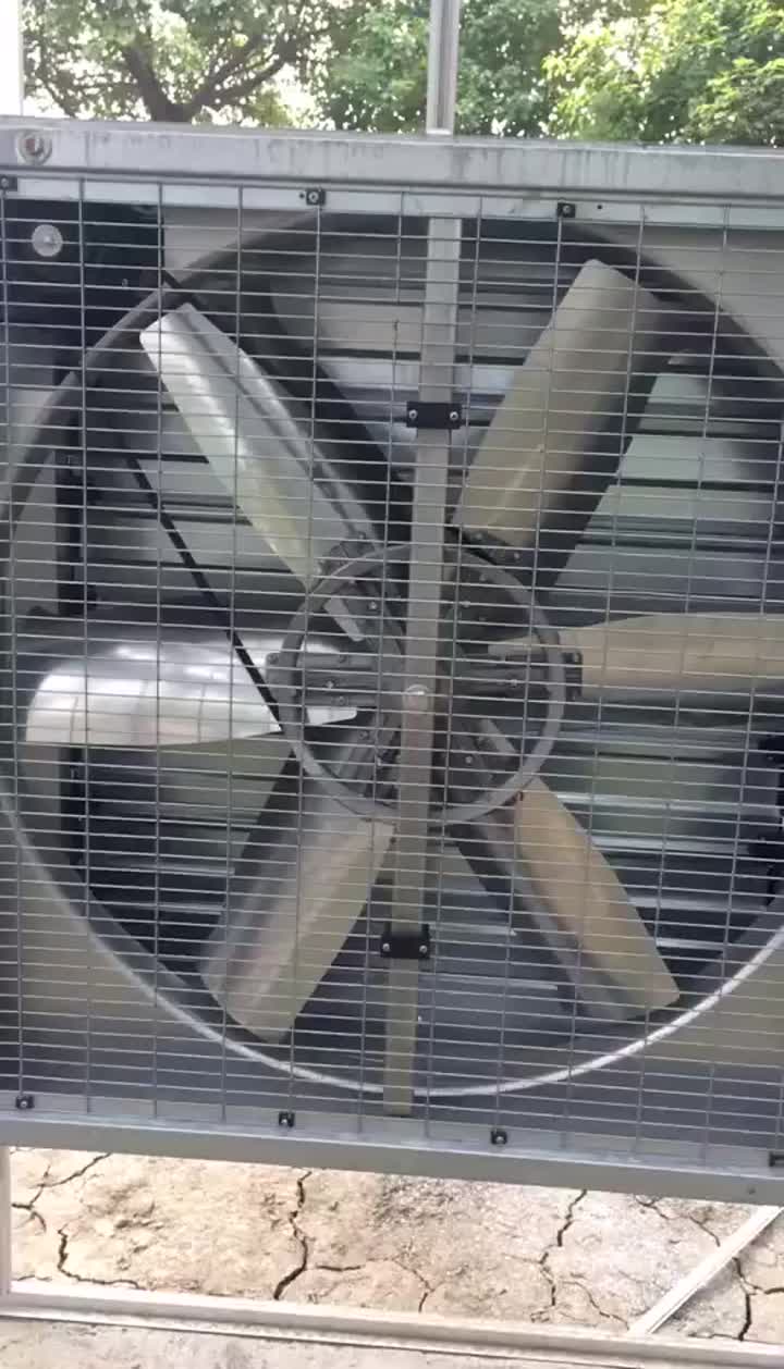 fan