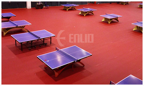Table tennis court mat