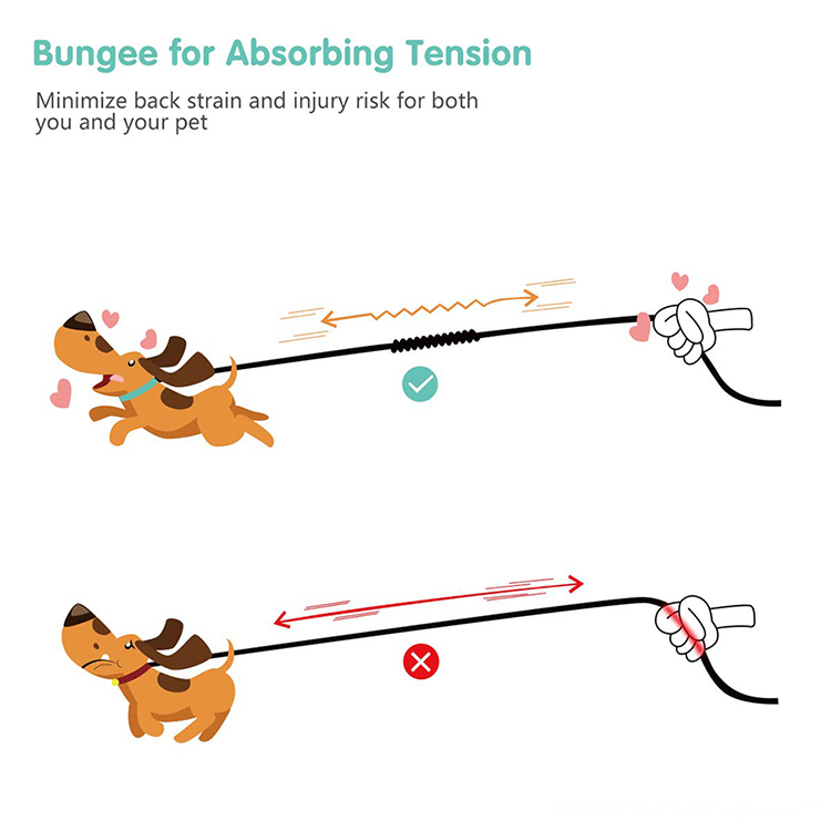 Reflective Heavy Duty Dual Double Dog Leash with Soft Handle and Comfortable Shock Absorbing Bungee