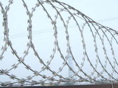 hot dipped galvanized diamond razor barbed wire mesh fence