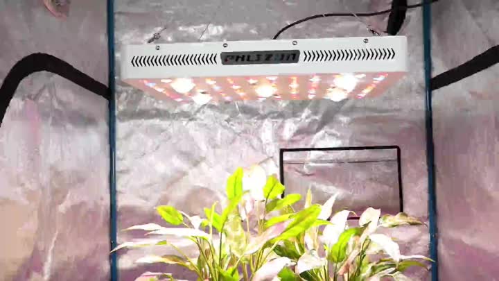  Cree COB Led Grow Light