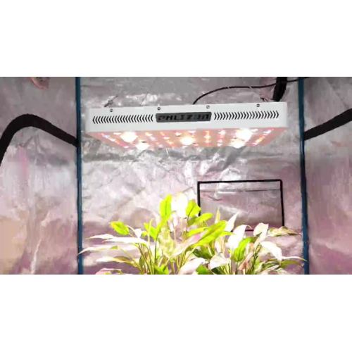 CREE COB LED Grow Light