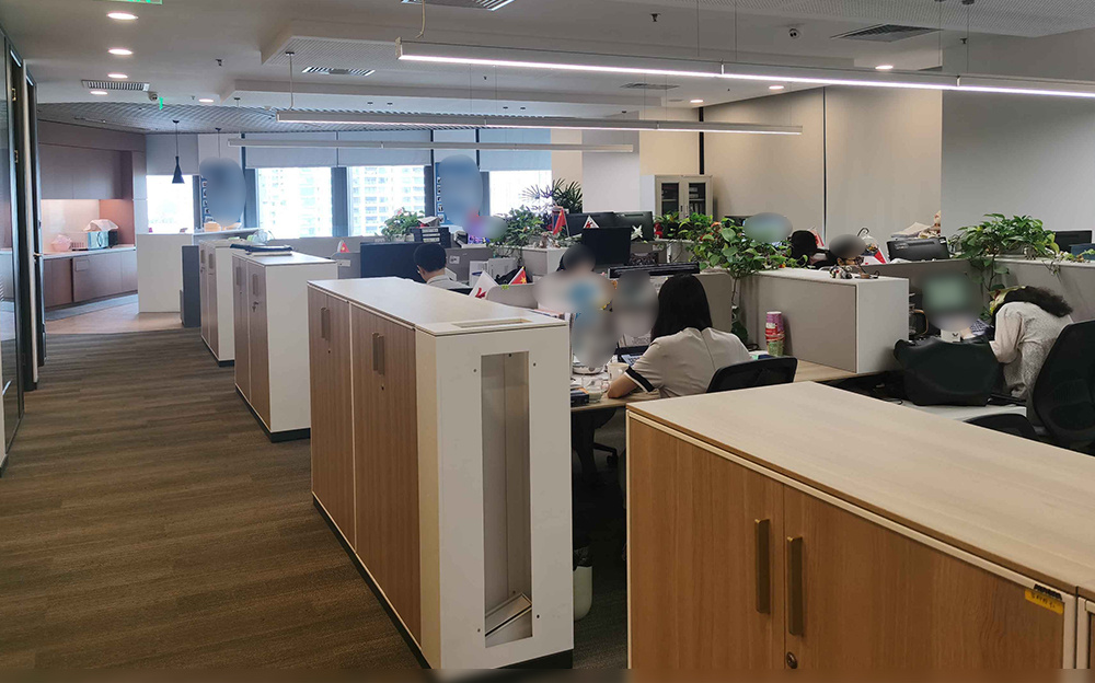 Professional customer service online