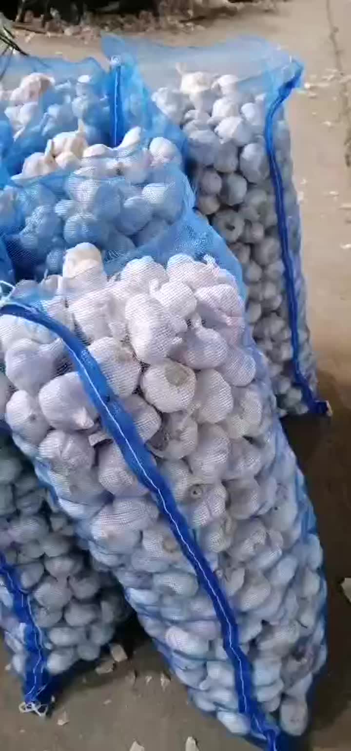 fresh normal garlic 10kg mesh bag.mp4