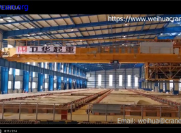 Multifunctional Crane for Electrolytic Copper