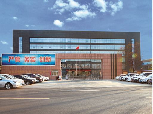 Shandong Top Leader Plastic Packing CO., LTD