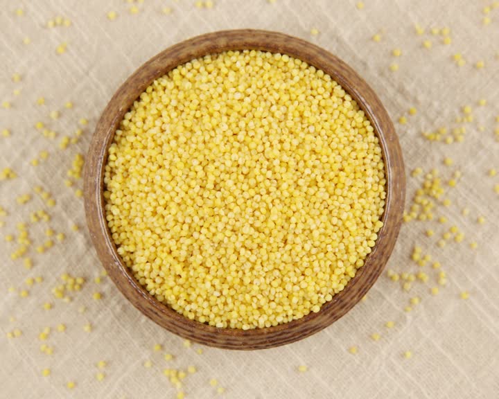 grain Millet2