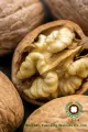 καυτή πώληση εμπορεύματα καρυδιού πυρήνα ελαφριά κεχριμπάρι μισά (lah)