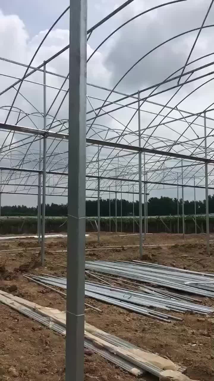 Greenhouse steel frame