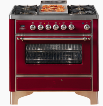 Roasting Convection Oven 