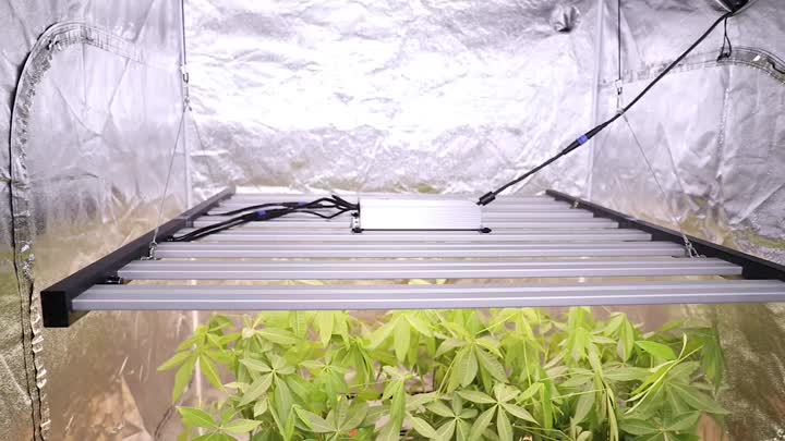 Video para luz de cultivo plegable 640W