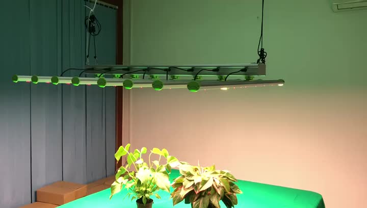 LED Grow Işık Tam Spektrum