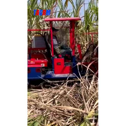 4GP-1 1-Row Sugarcane Cutter