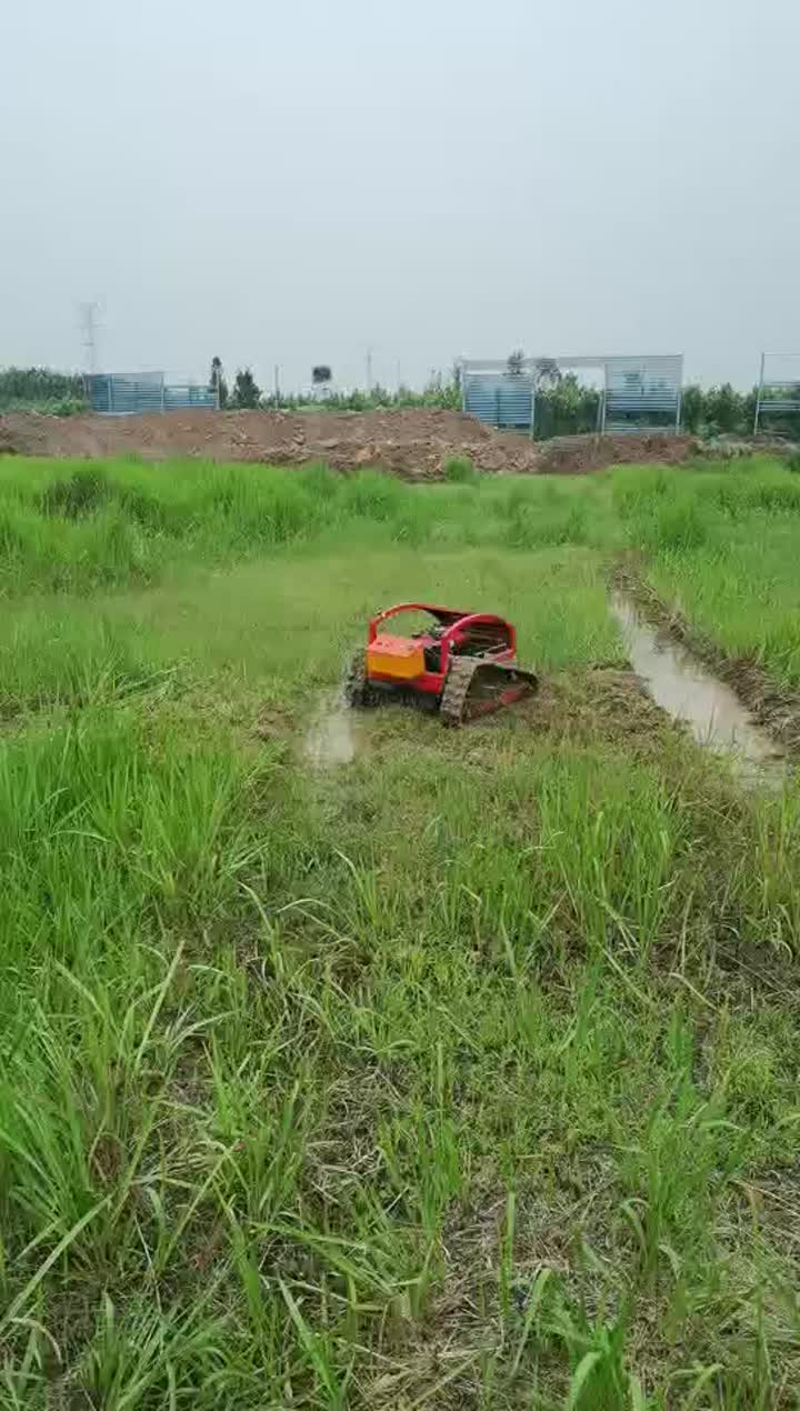 Mesin pemotong rumput