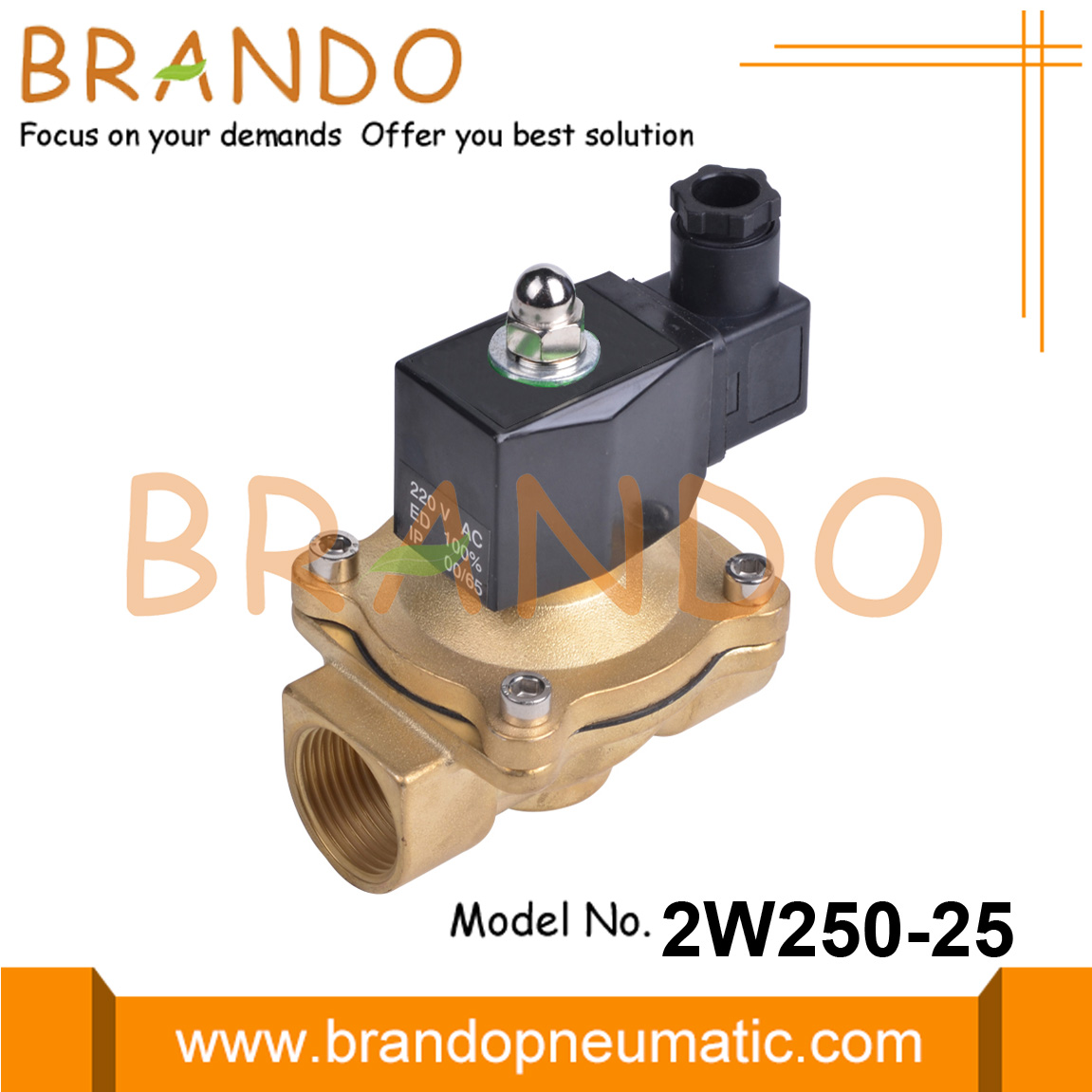 2W250-25 1 &#39;&#39; pirinç solenoid valf