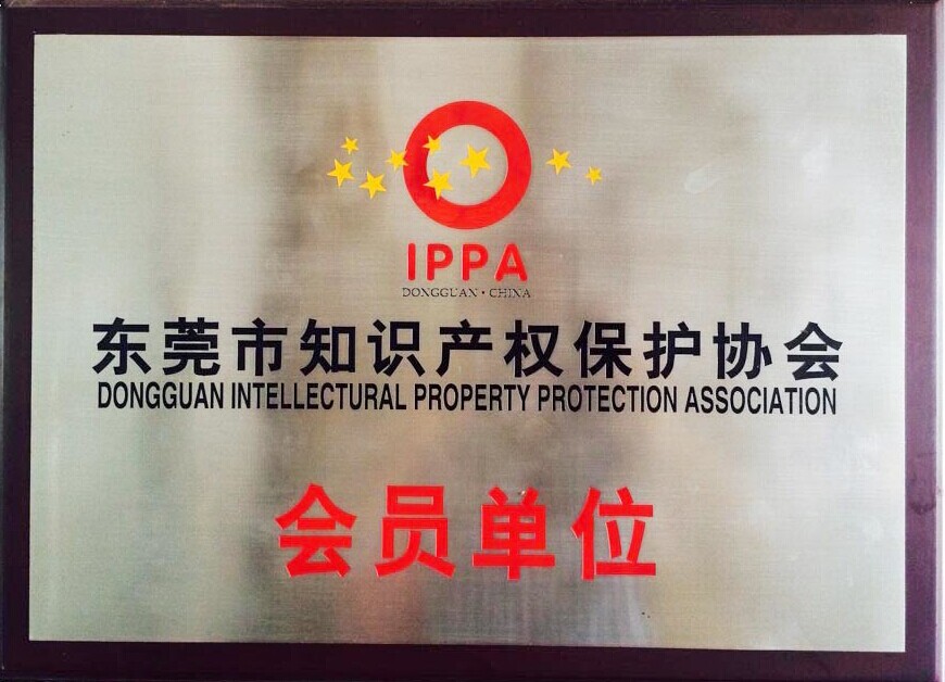 Certificate of Intellectual Property Protection Association