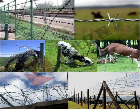 Barbed Wire Barbed Wire