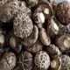 Wysokiej jakości odwodnione grzyby shiitake