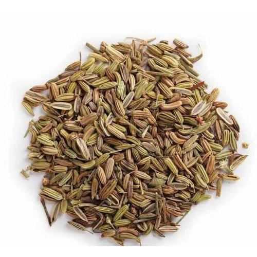 How Fennel Extract Can Improve Digestion and Gut Health
