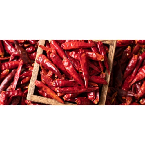 History, Uses and Culture of Chaotian Chili