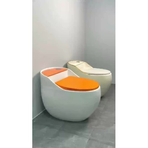 colorful toilet 3