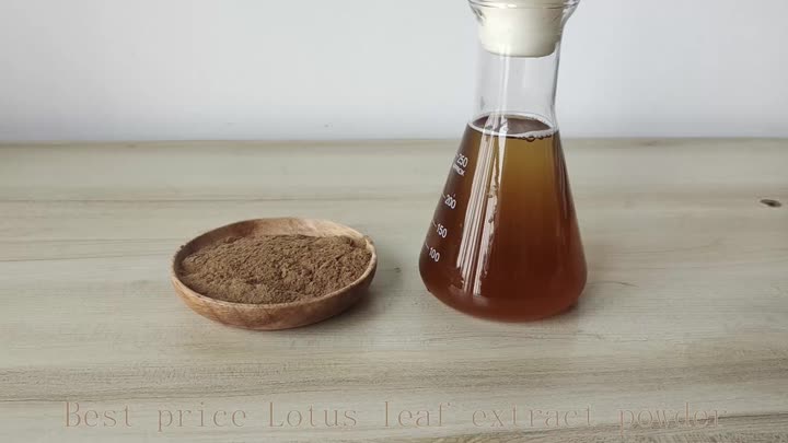 lotus leaf extract