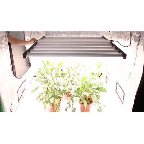 1000W waterproof grow light