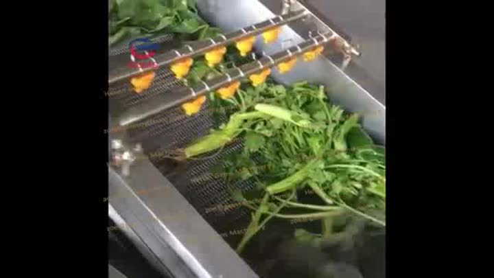 野菜洗濯機フルーツ洗濯機