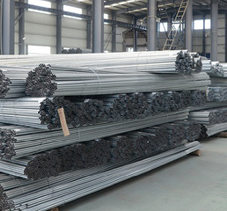 مخطط النبات