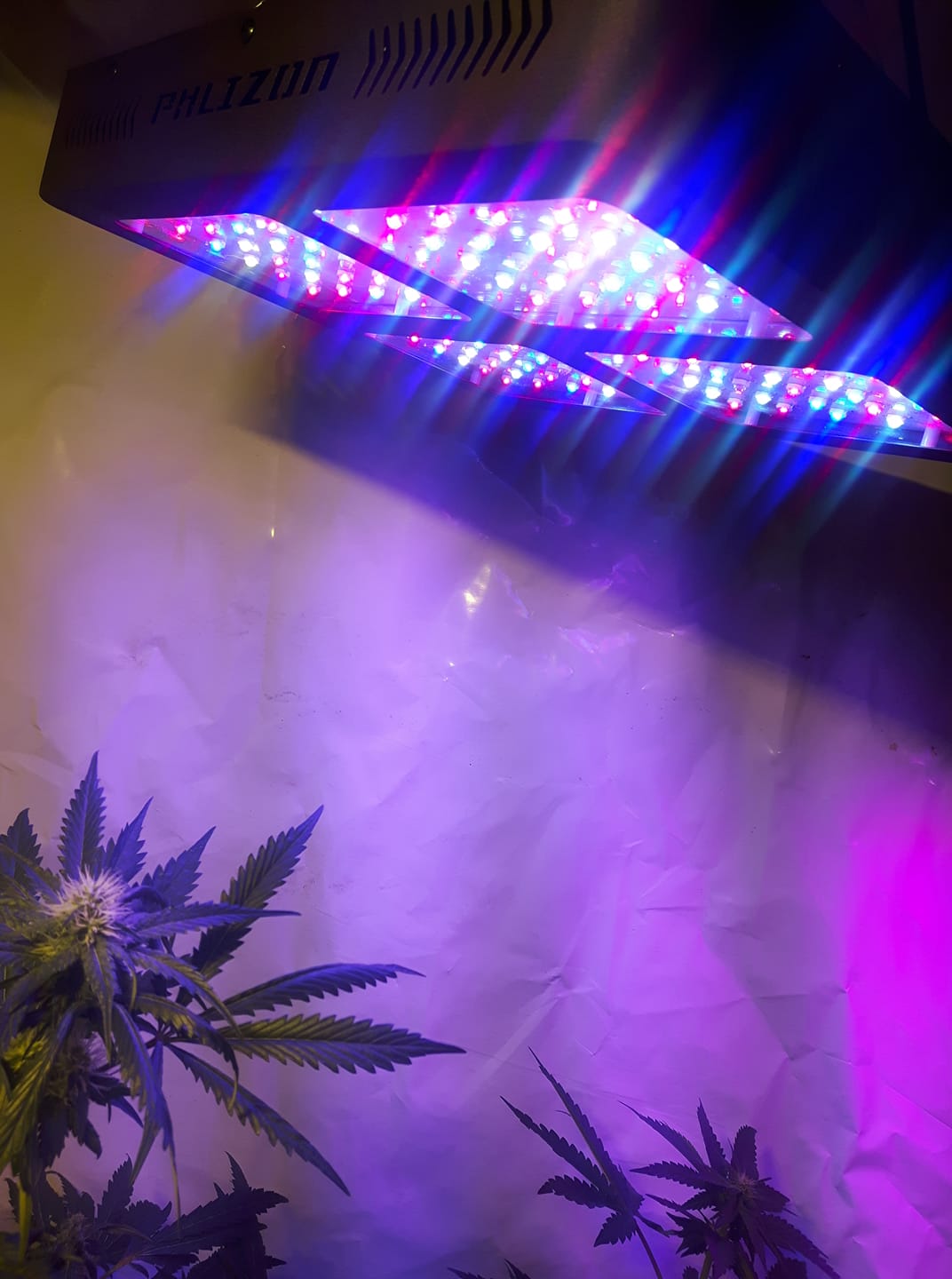 Phlizon New Square 1200 watt LED Grow Light