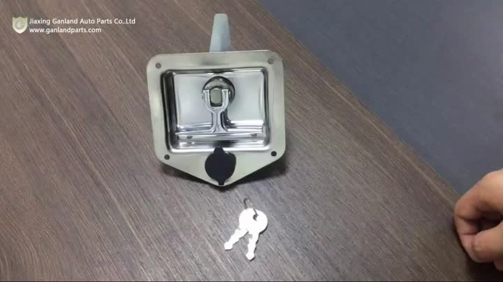 Flush Mount Paddle T Handle Lock