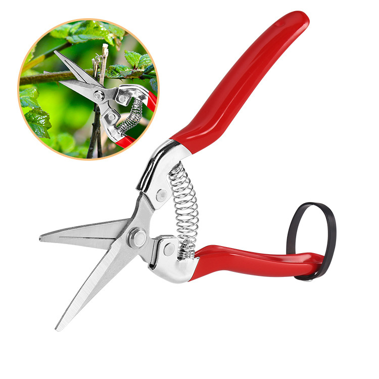 Cheaper Thin fruit shears gardening scissors Customizable logo colors fine branch shears Pruning shears