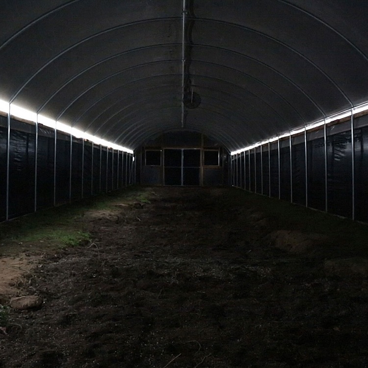 blackout greenhouse 3