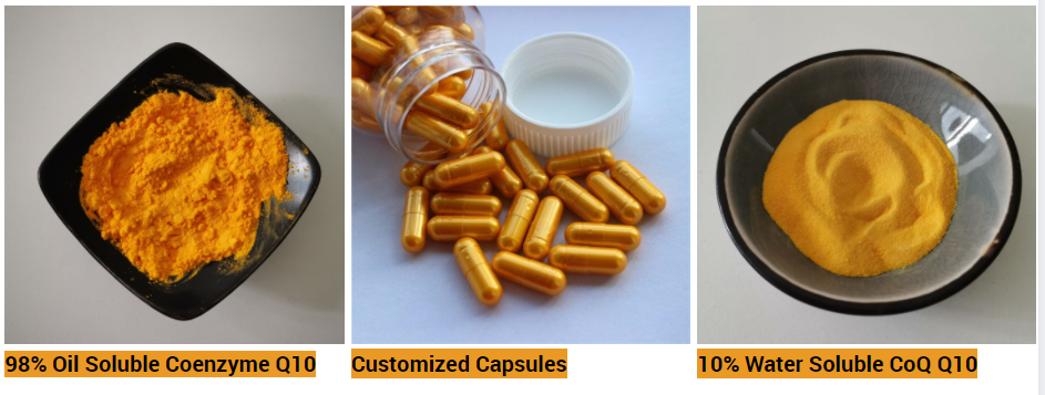 Coenzyme Q10 powder bulk