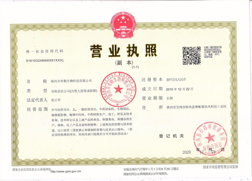 Business License