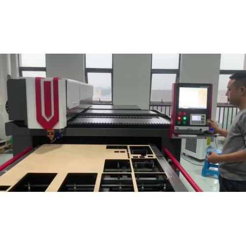 AL - 600 W Single Head Laser Cutting Machine