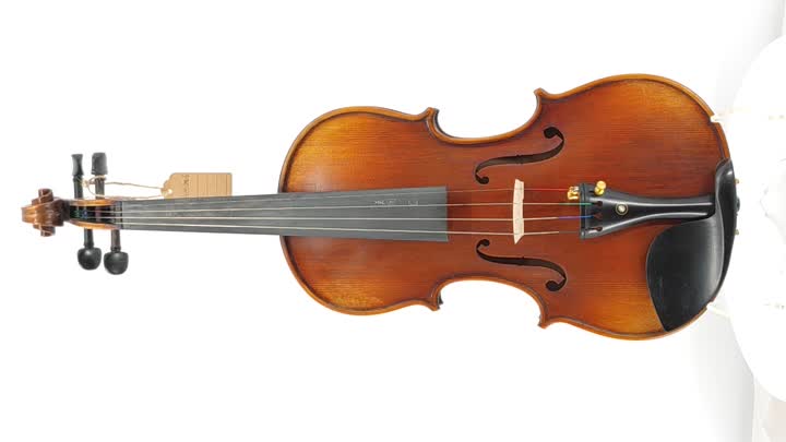 Violine-JMC-6